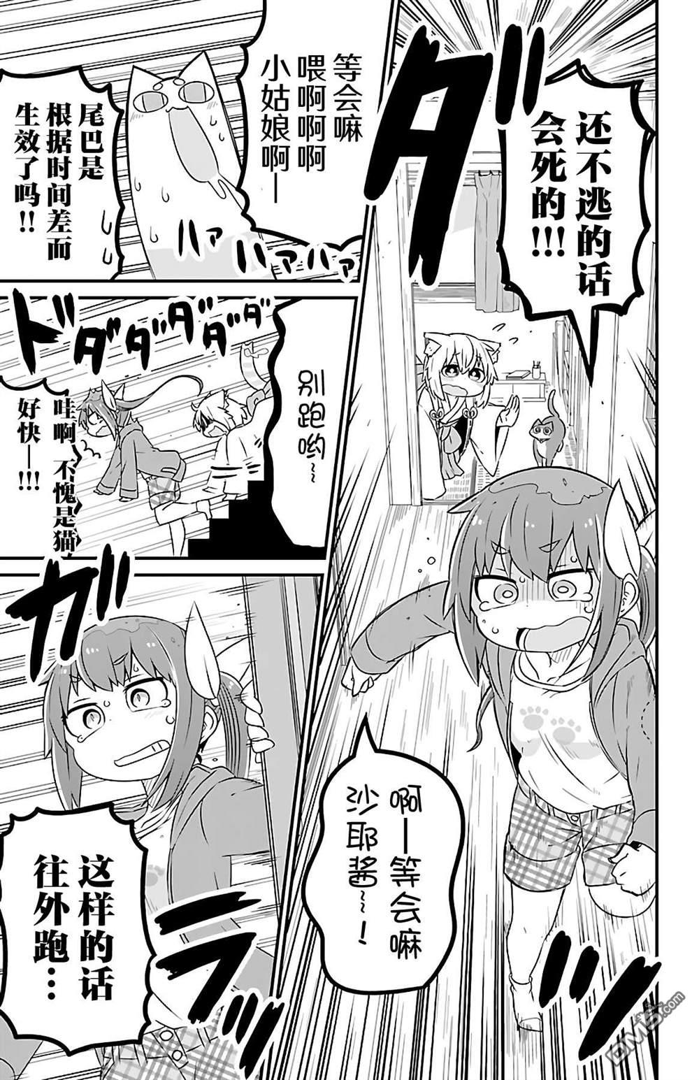 猫神逗猫草！ 第35话 第7页