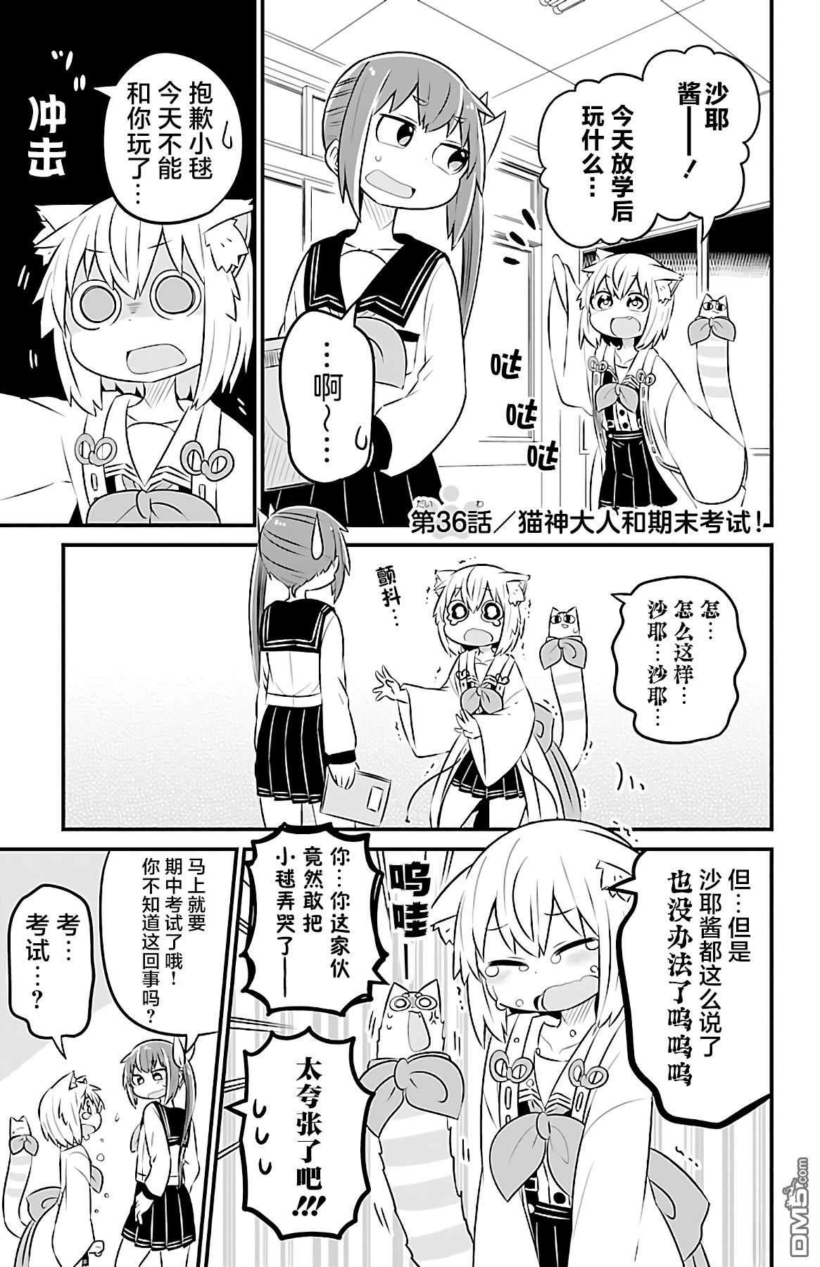 猫神逗猫草！ 第36话 第1页
