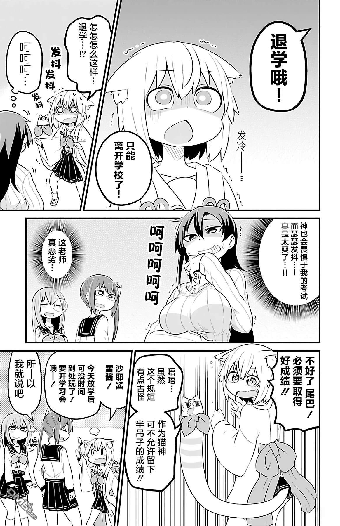 猫神逗猫草！ 第36话 第3页