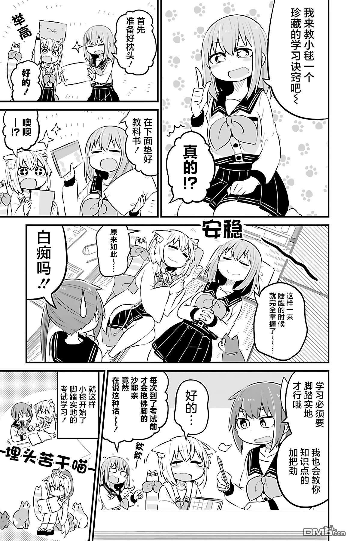 猫神逗猫草！ 第36话 第5页
