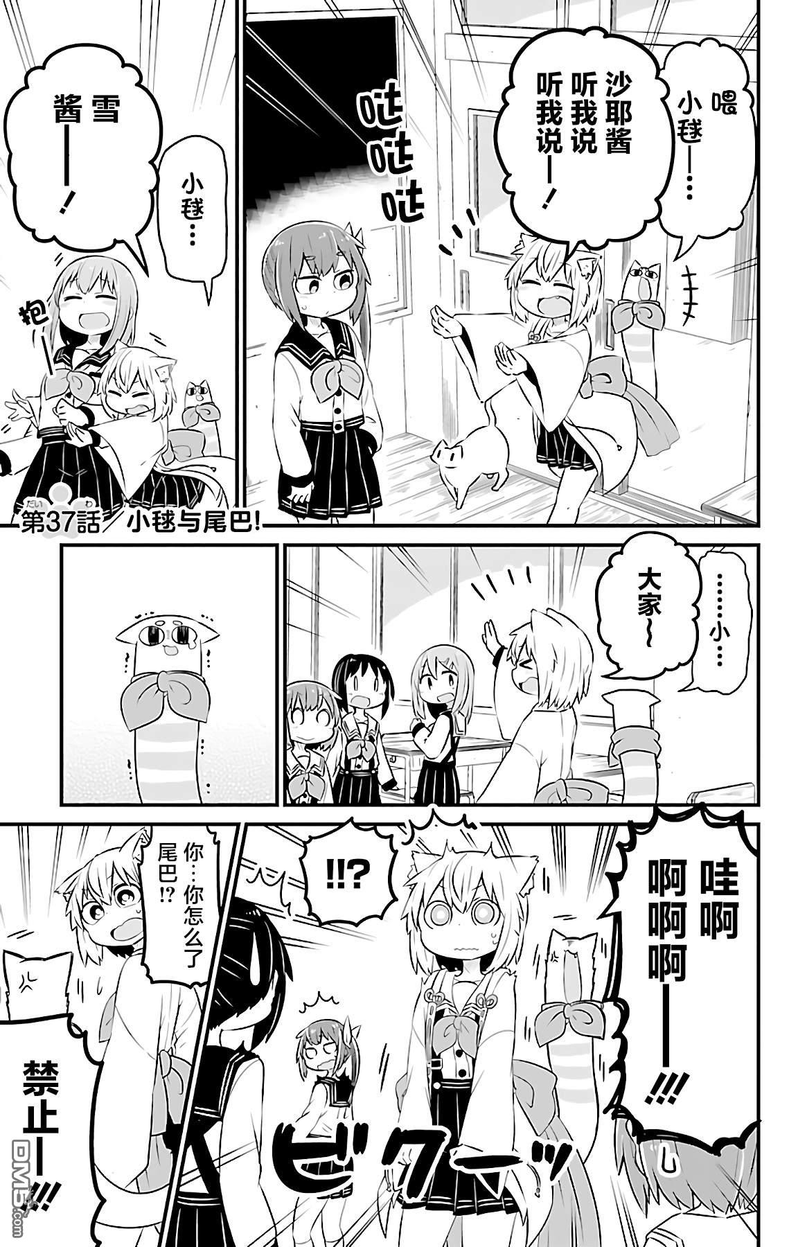 猫神逗猫草！ 第37话 第1页