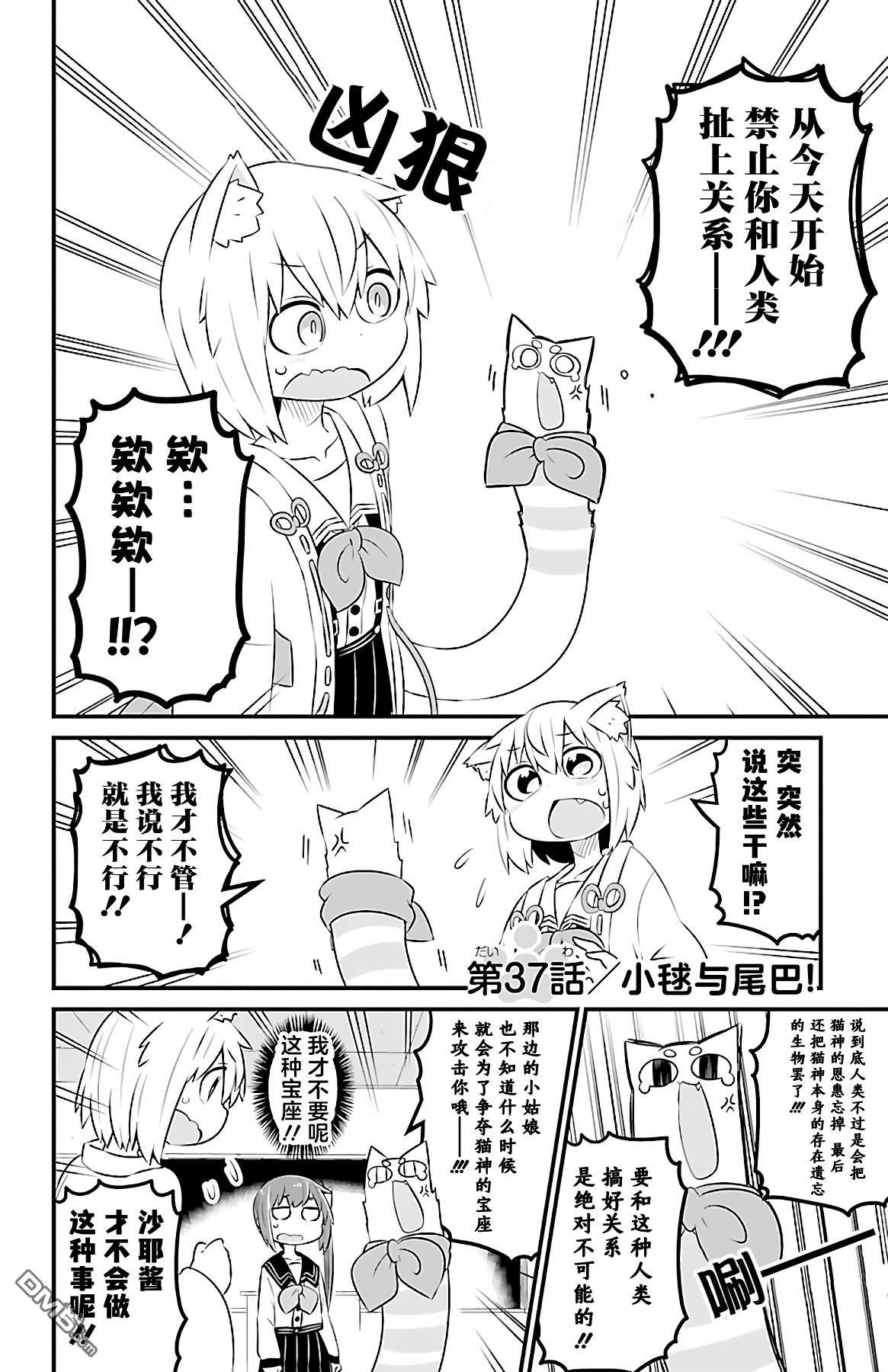 猫神逗猫草！ 第37话 第2页