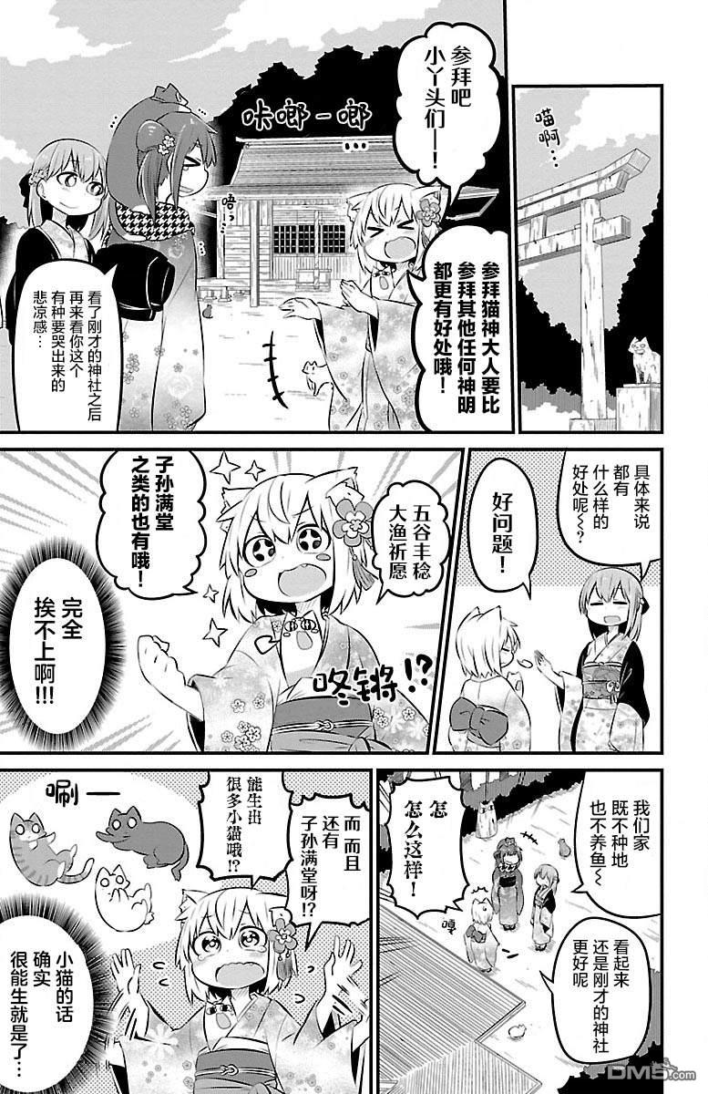 猫神逗猫草！ 第39话 第7页
