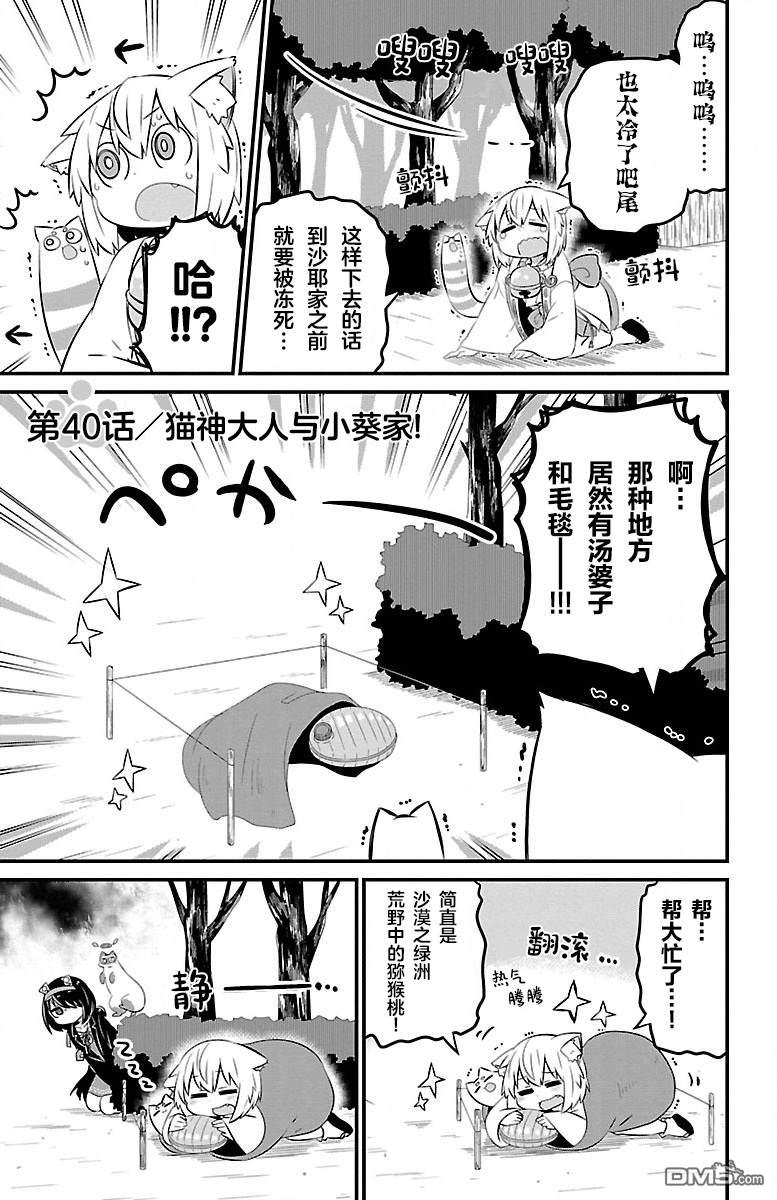 猫神逗猫草！ 第40话 第1页