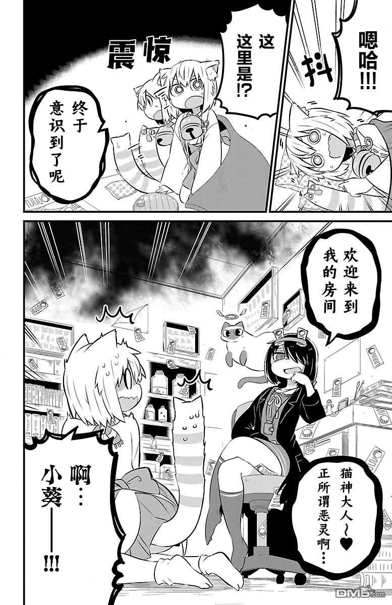 猫神逗猫草！ 第40话 第2页