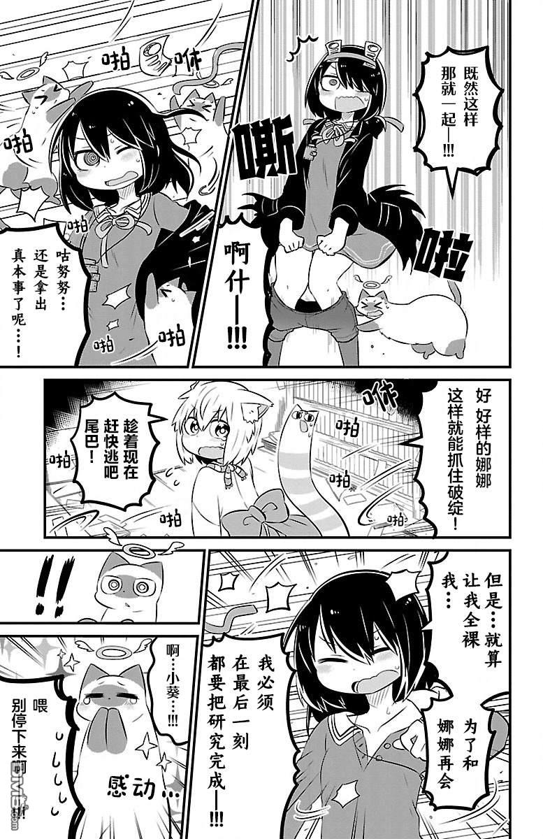 猫神逗猫草！ 第40话 第7页