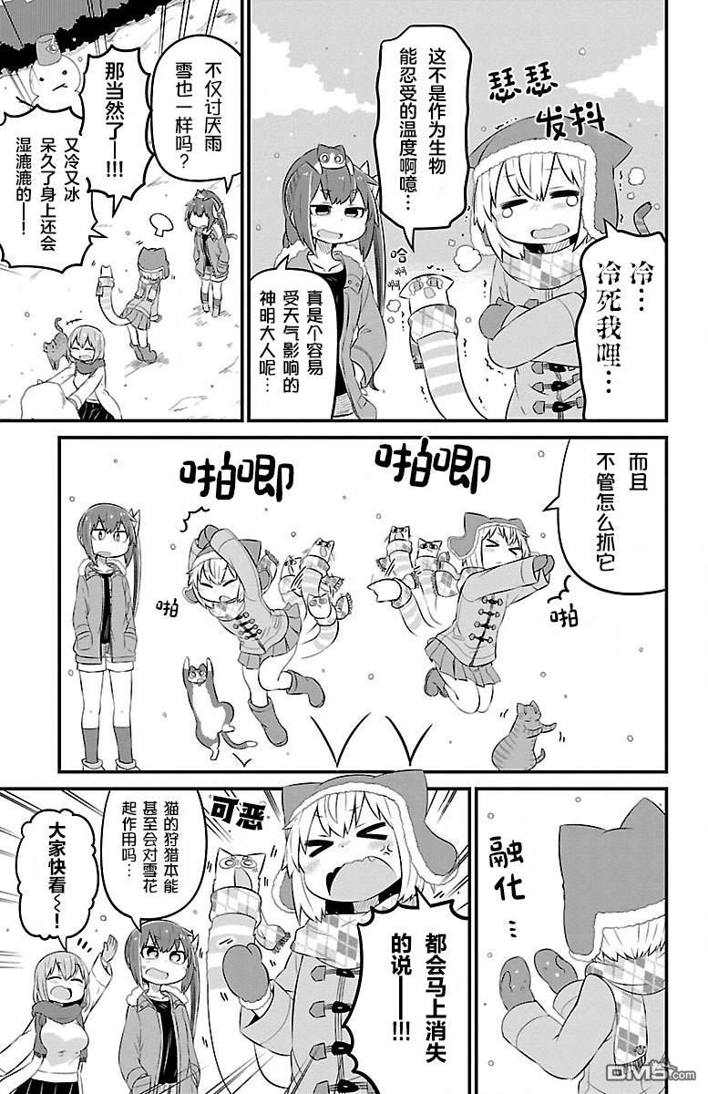 猫神逗猫草！ 第41话 第4页