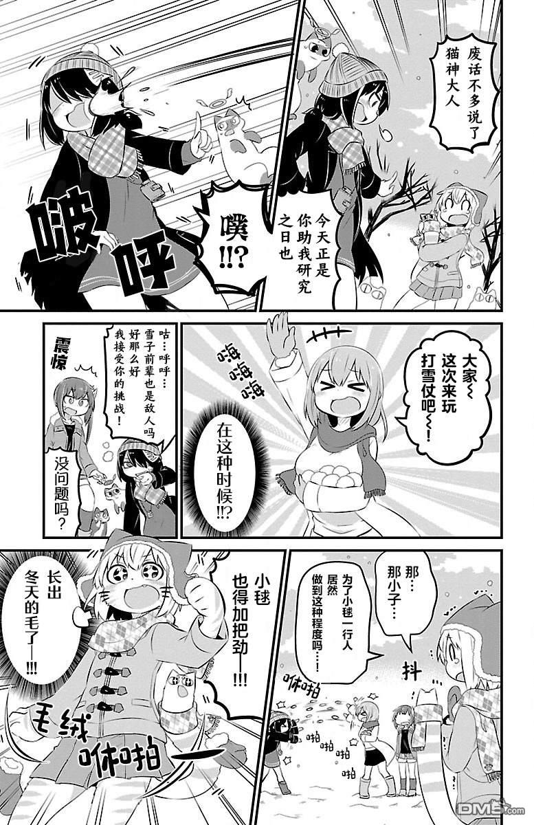 猫神逗猫草！ 第41话 第8页