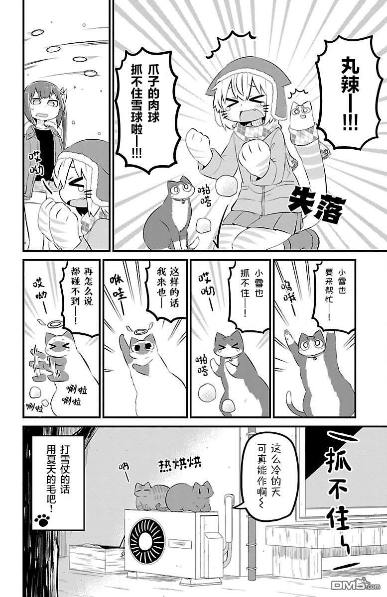 猫神逗猫草！ 第41话 第9页