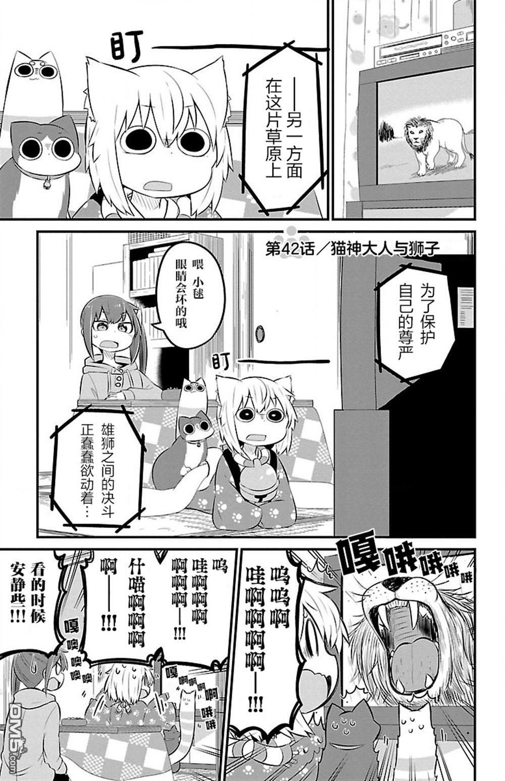 猫神逗猫草！ 第42话 第1页