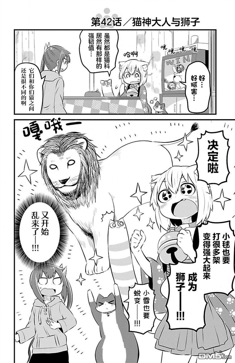 猫神逗猫草！ 第42话 第2页