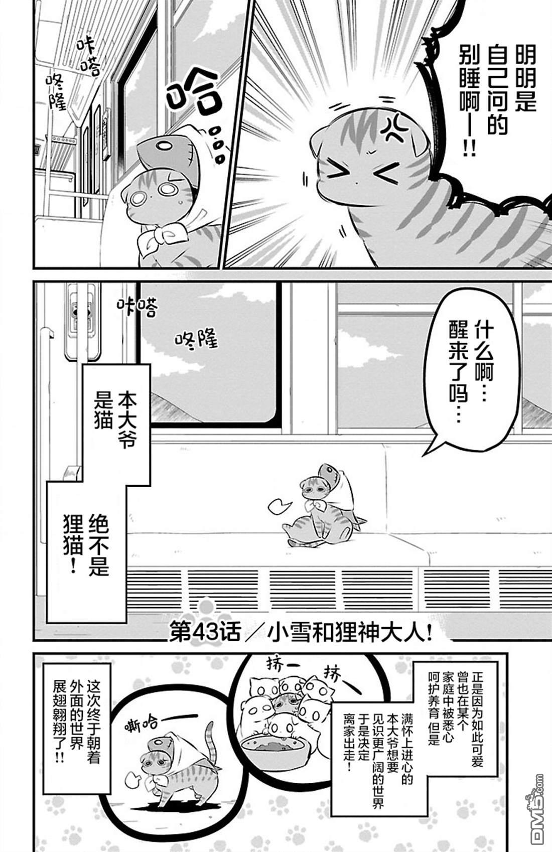 猫神逗猫草！ 第43话 第2页