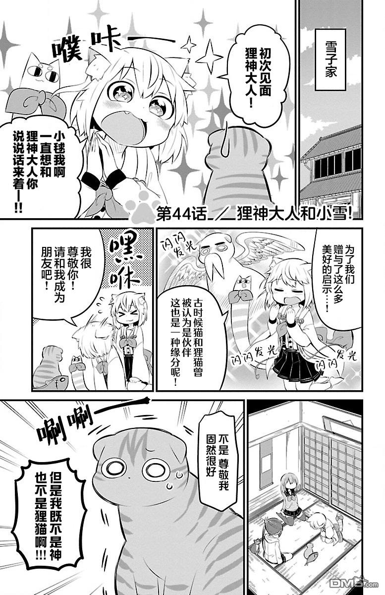 猫神逗猫草！ 第44话 第1页