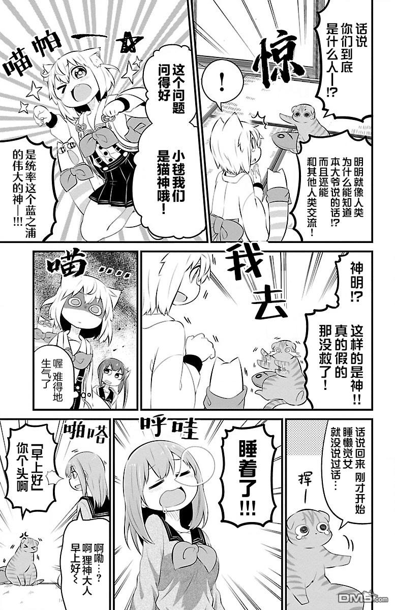 猫神逗猫草！ 第44话 第3页