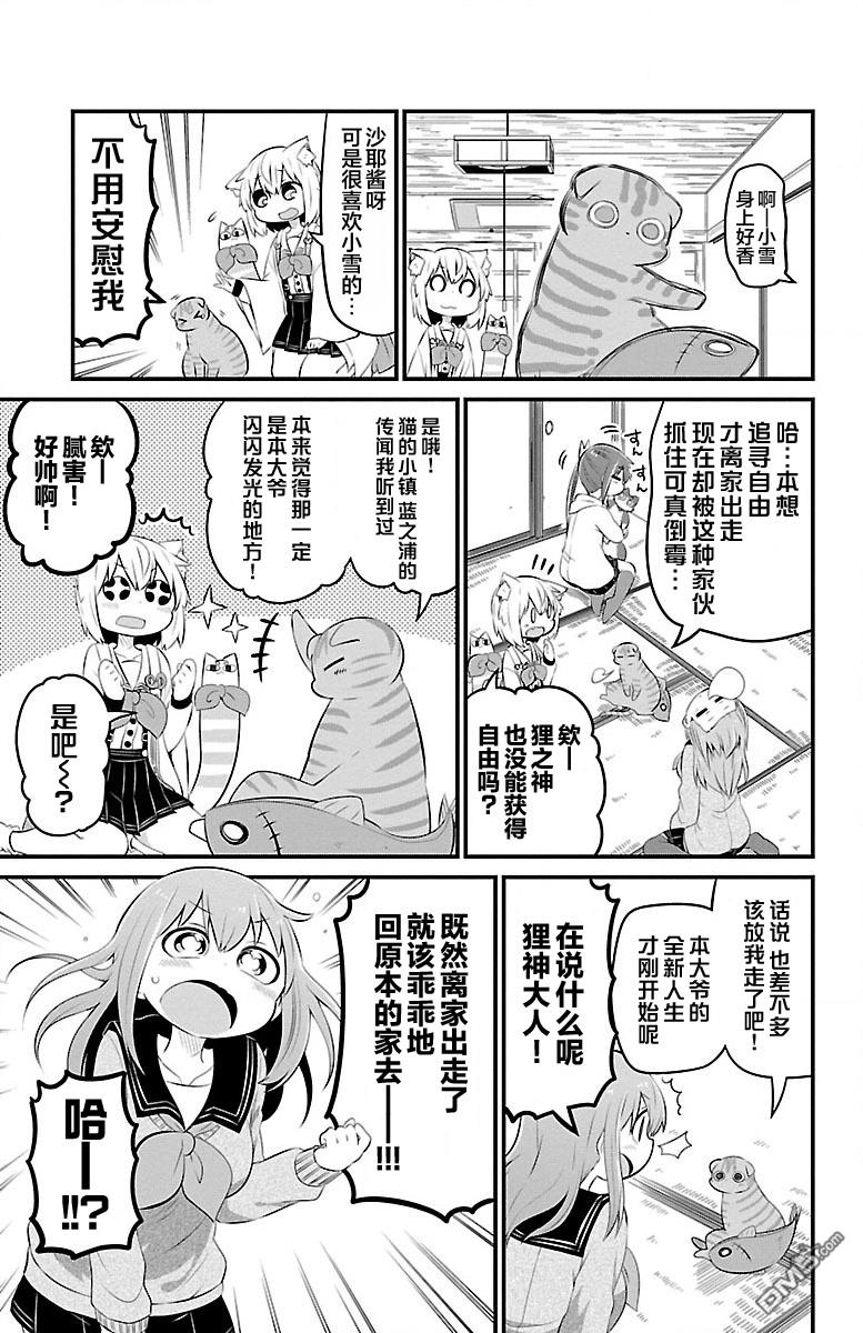 猫神逗猫草！ 第44话 第5页