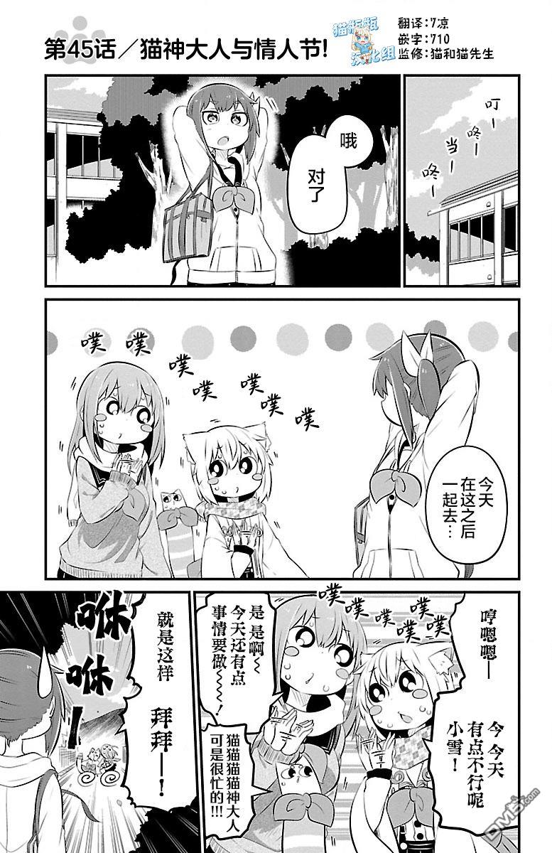猫神逗猫草！ 第45话 第1页