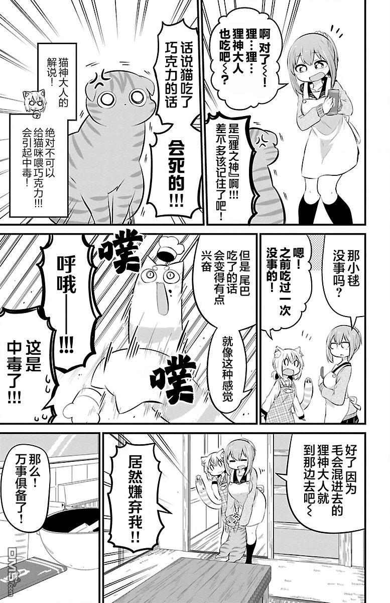 猫神逗猫草！ 第45话 第3页