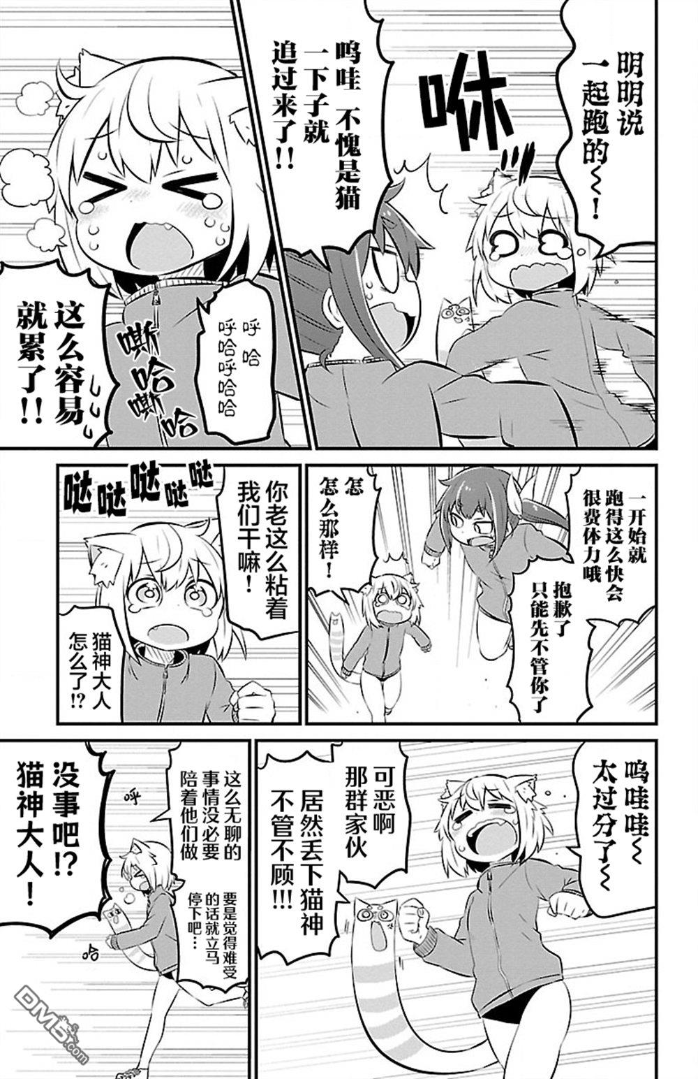 猫神逗猫草！ 第46话 第3页