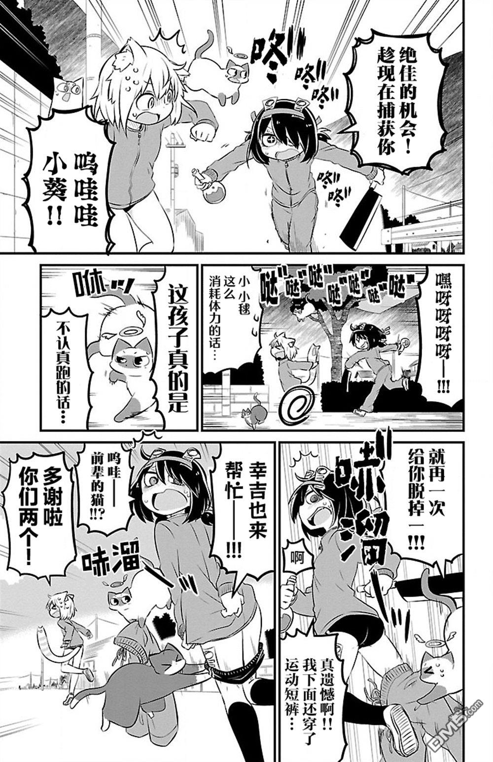 猫神逗猫草！ 第46话 第5页
