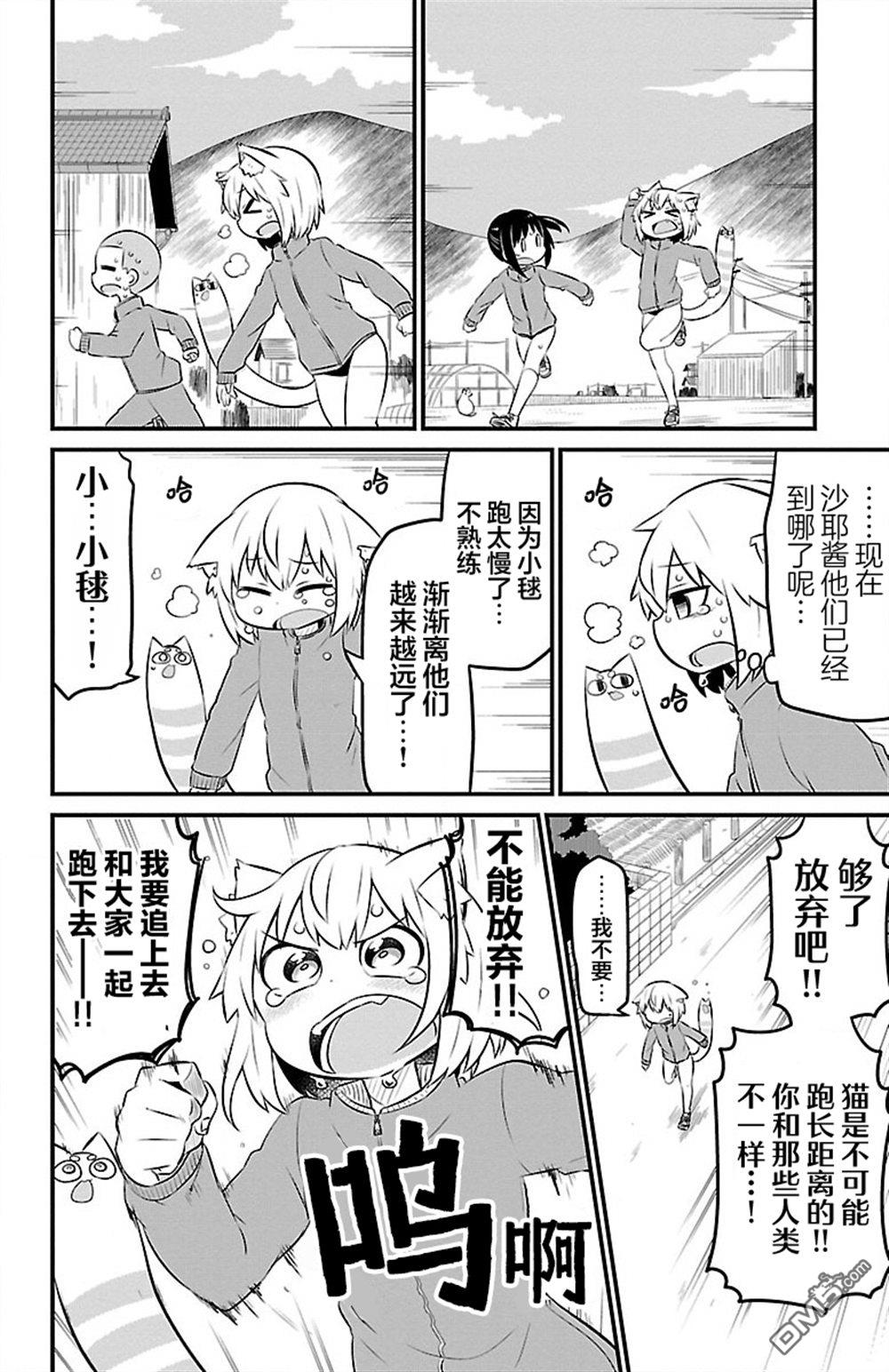 猫神逗猫草！ 第46话 第6页