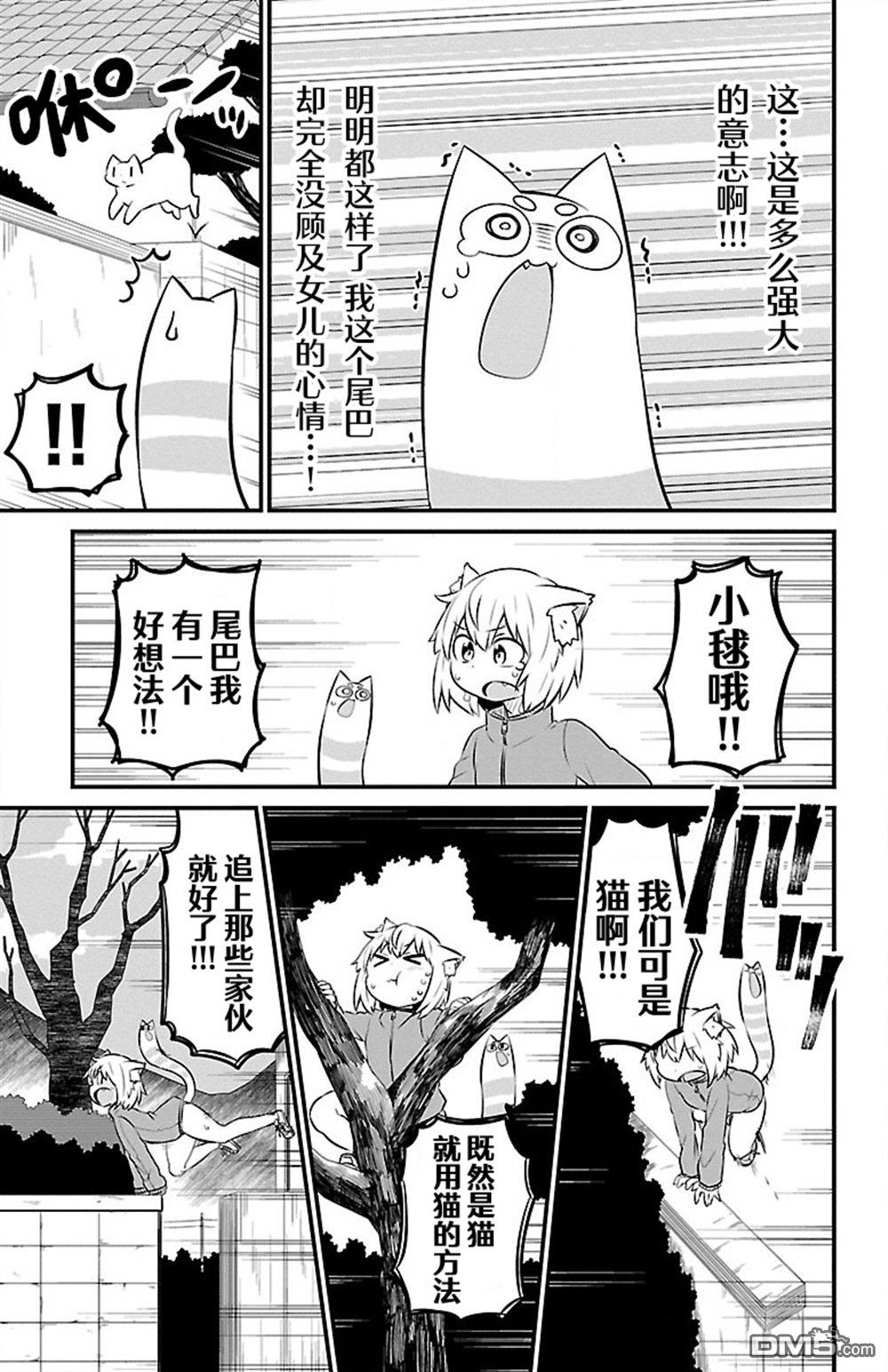 猫神逗猫草！ 第46话 第7页