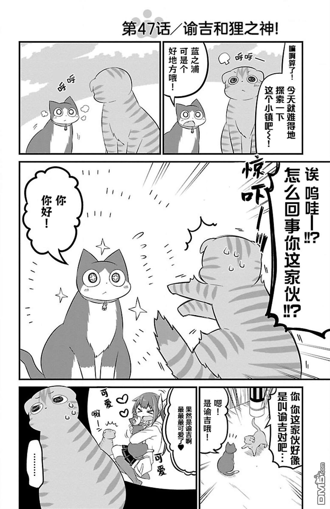 猫神逗猫草！ 第47话 第2页