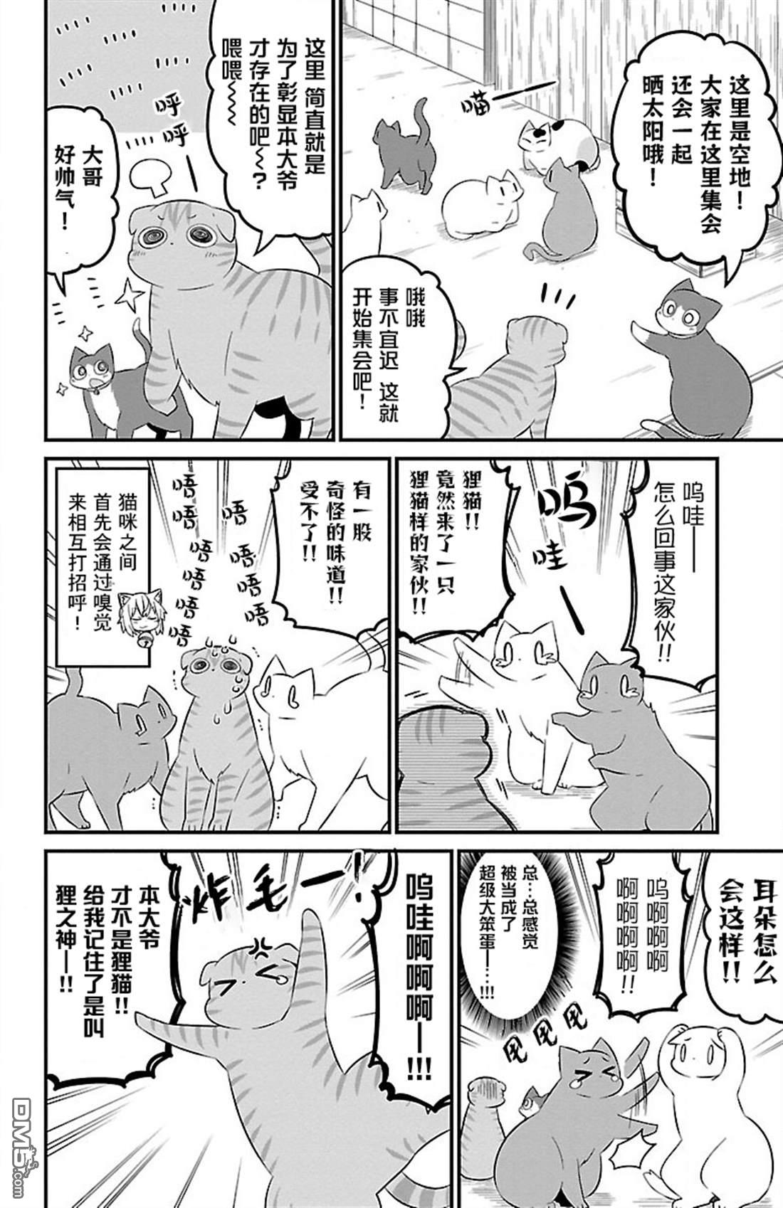 猫神逗猫草！ 第47话 第4页
