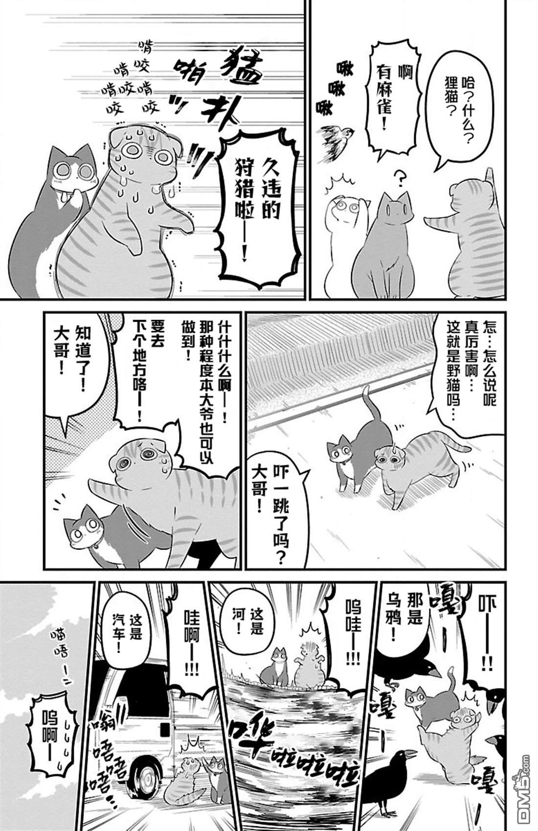 猫神逗猫草！ 第47话 第5页