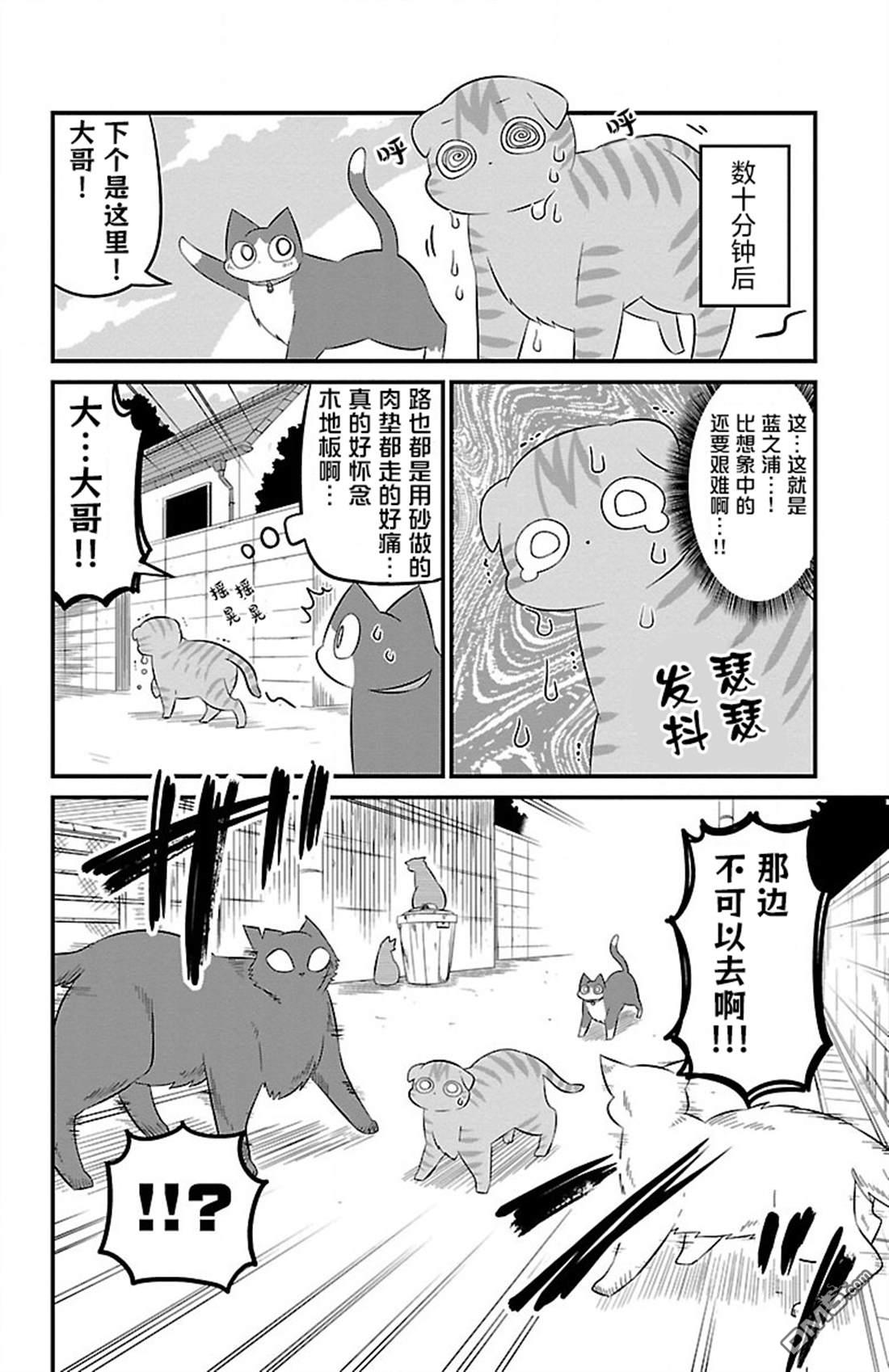 猫神逗猫草！ 第47话 第6页