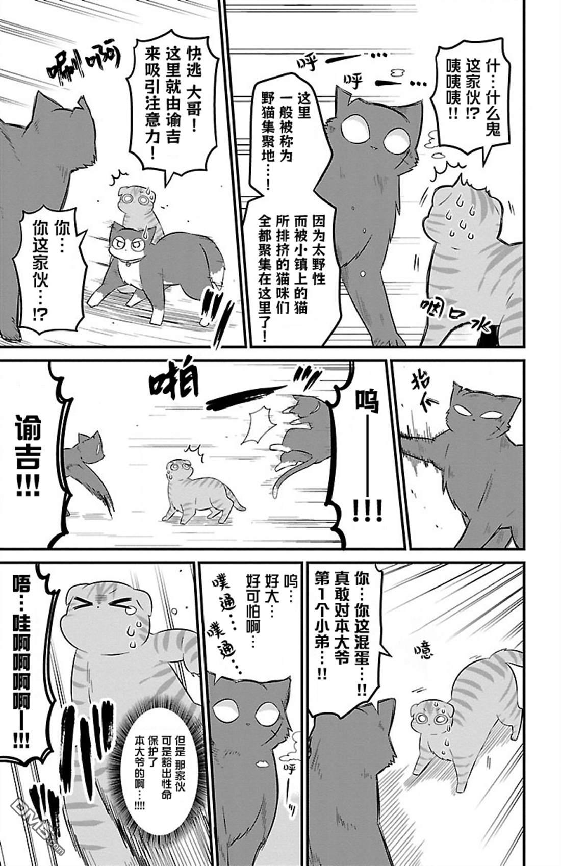 猫神逗猫草！ 第47话 第7页