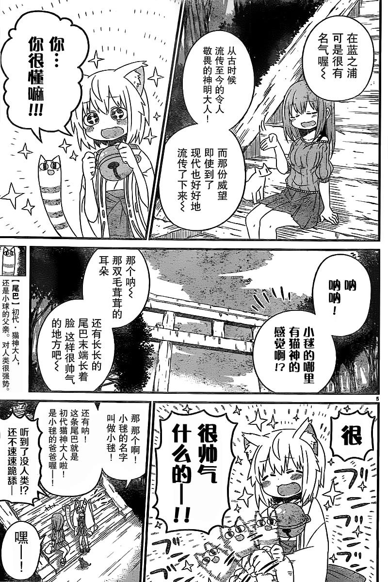 猫神逗猫草！ 第5话 第5页