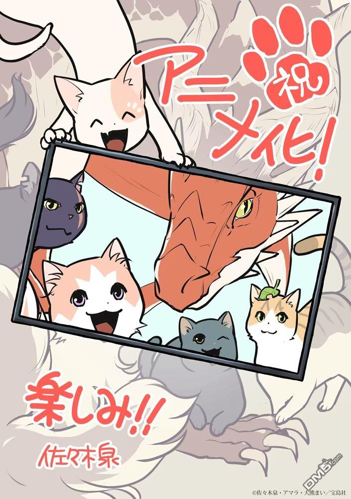 猫与龙 [番外] 动画化 第1页