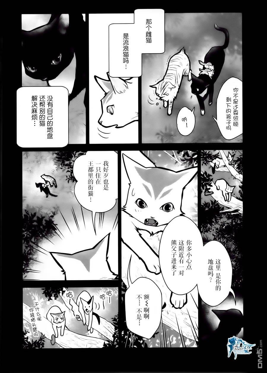 猫与龙 第15话 第25页
