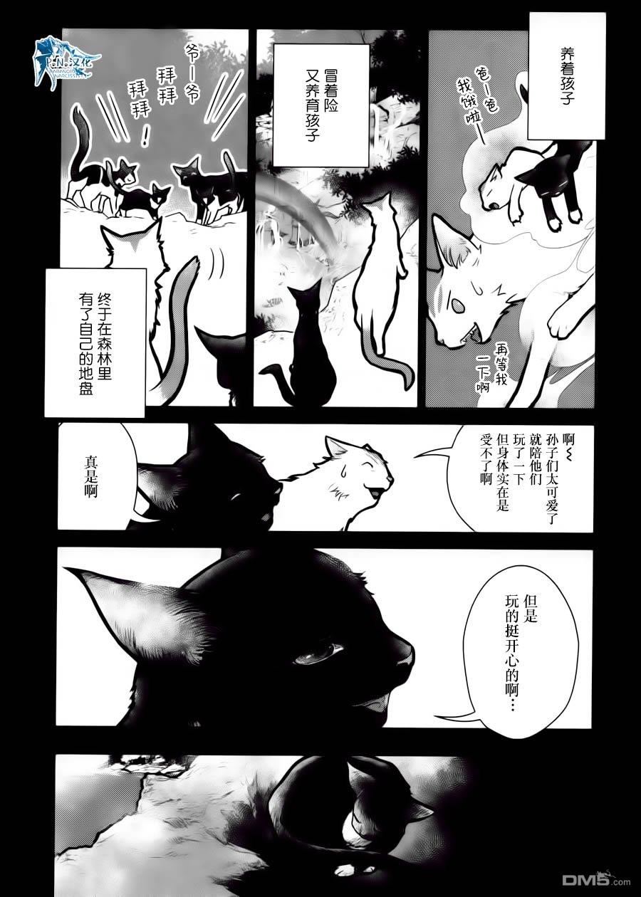 猫与龙 第15话 第28页