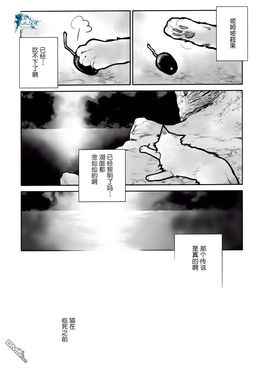 猫与龙 第15话 第34页