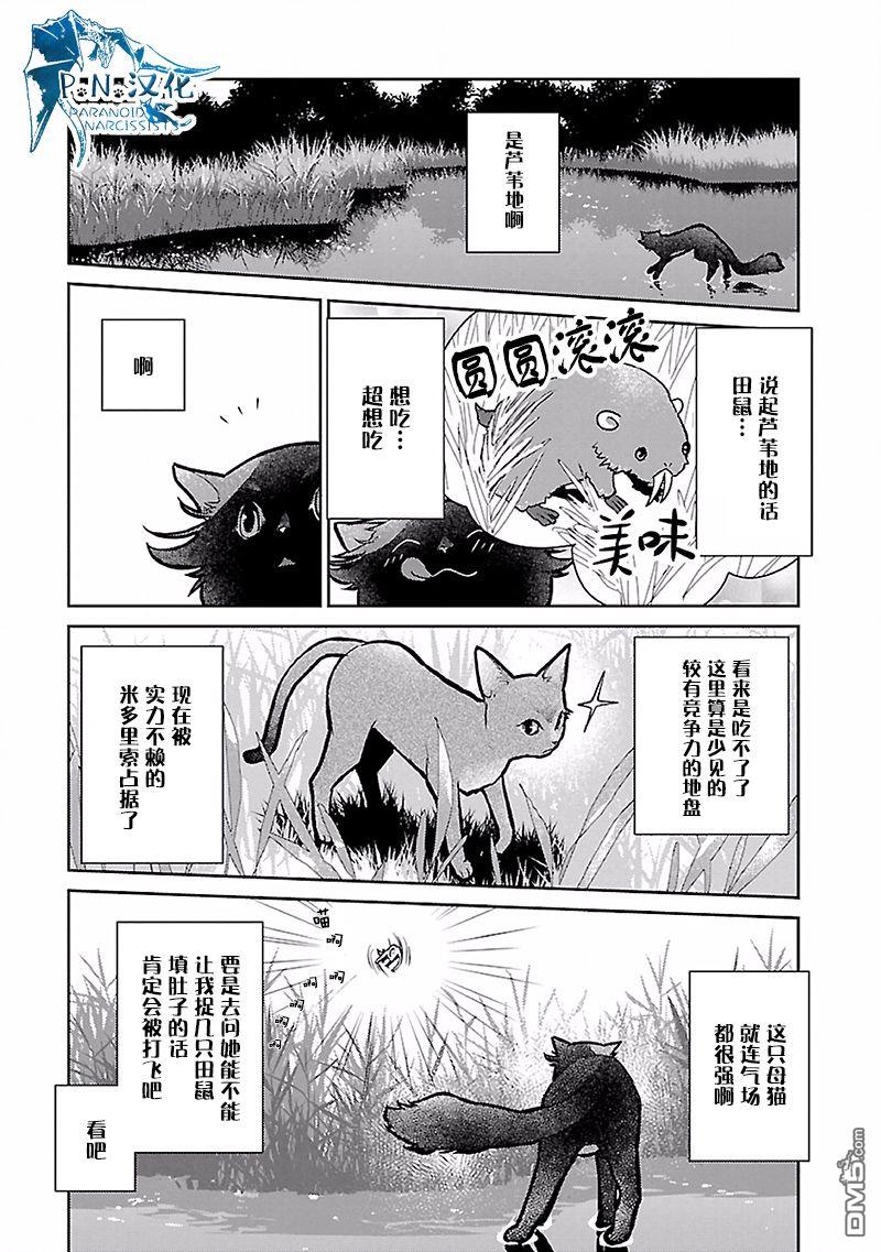 猫与龙 第17话 第10页