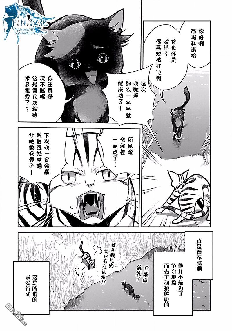 猫与龙 第17话 第12页