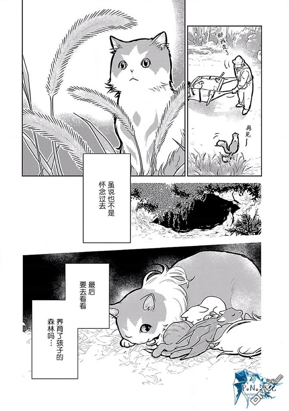 猫与龙 第19话 第8页