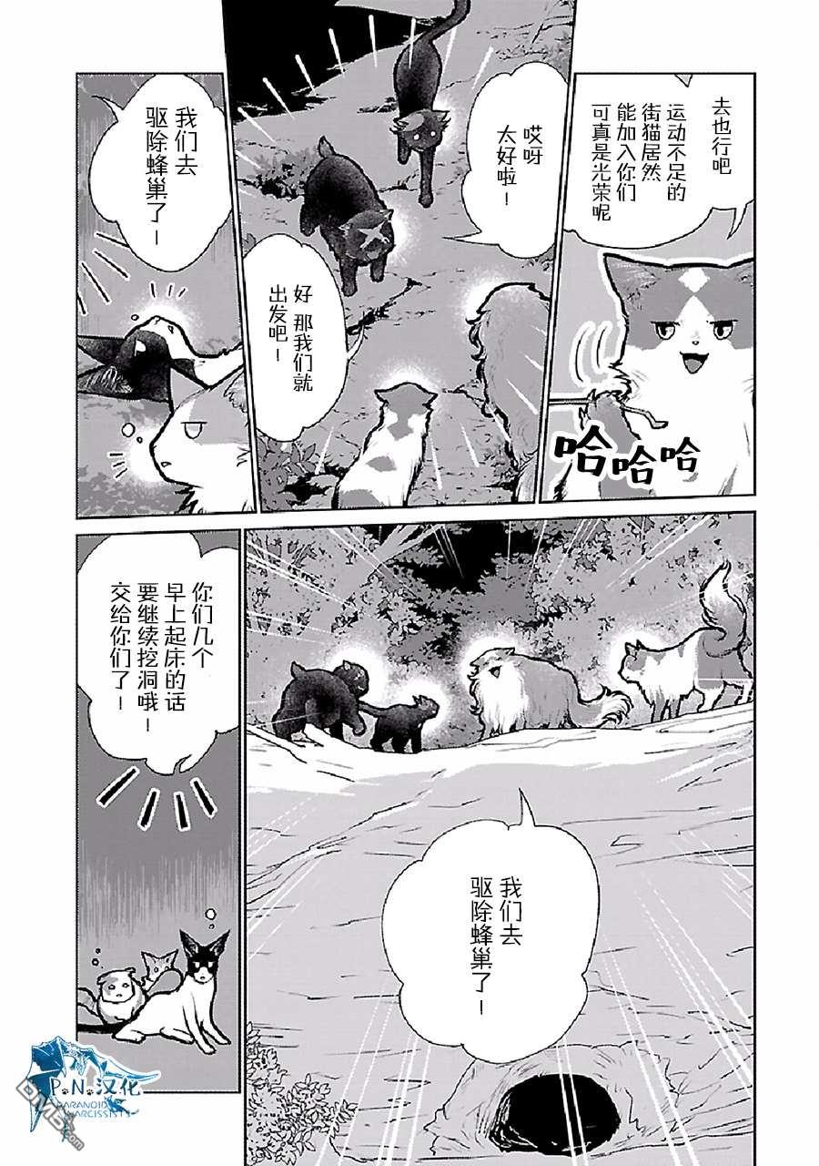 猫与龙 第23话 第13页