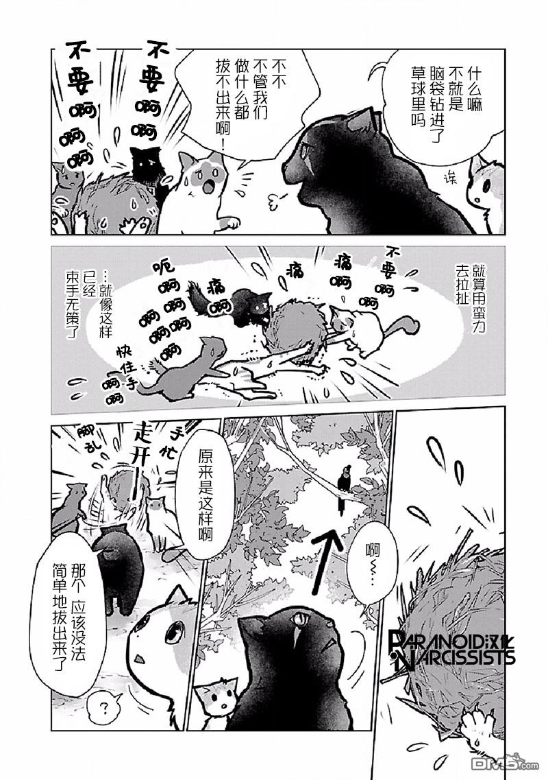 猫与龙 第27话 第28页