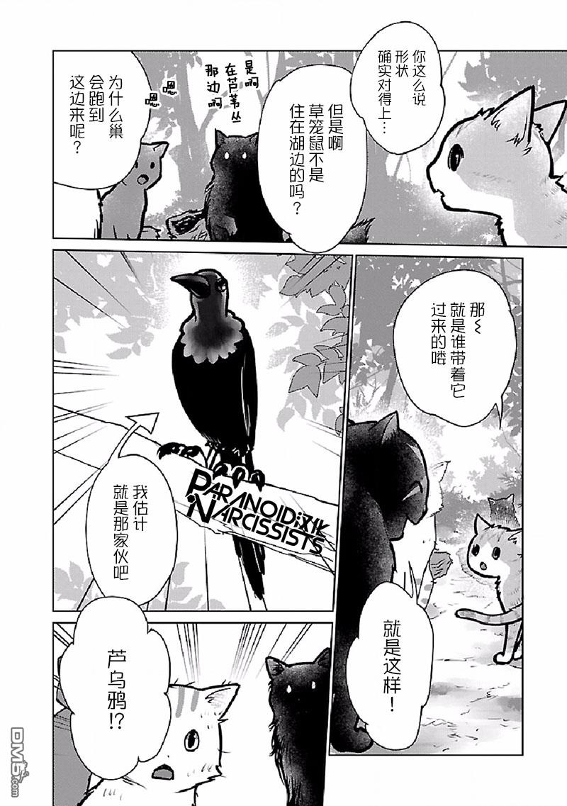 猫与龙 第27话 第32页