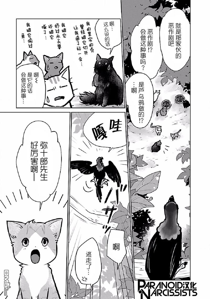 猫与龙 第27话 第33页