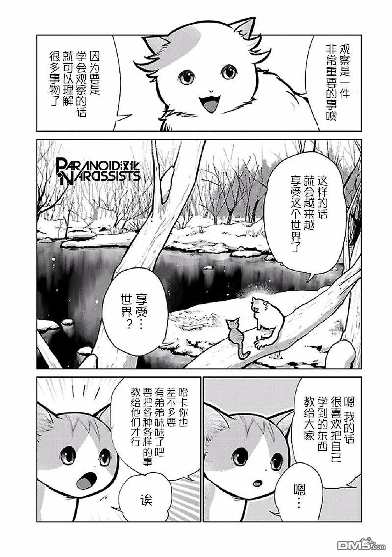 猫与龙 第27话 第8页