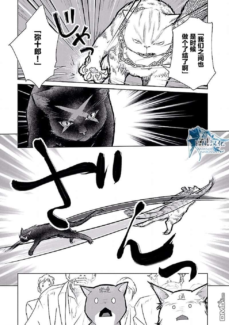 猫与龙 第28话 第31页