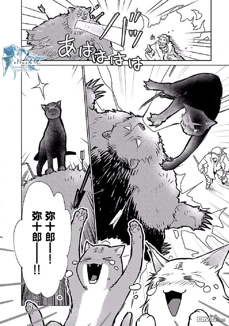猫与龙 第28话 第34页