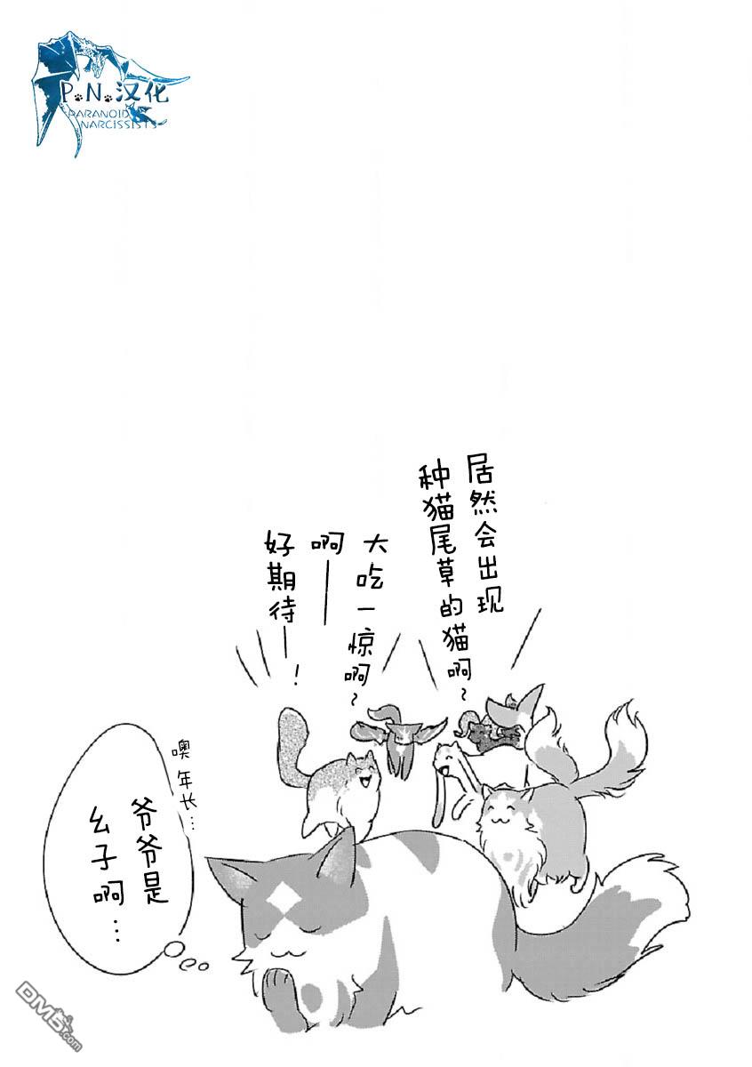 猫与龙 第29话 第37页