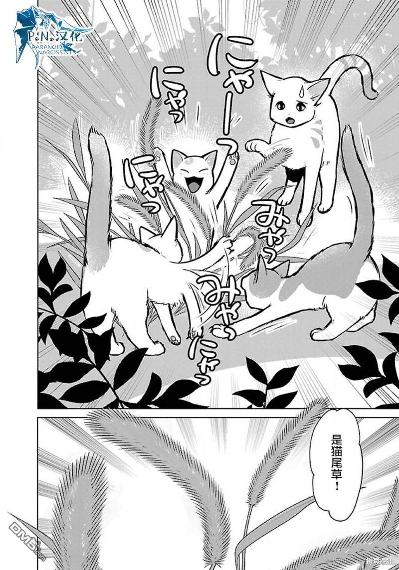 猫与龙 第36话 第22页
