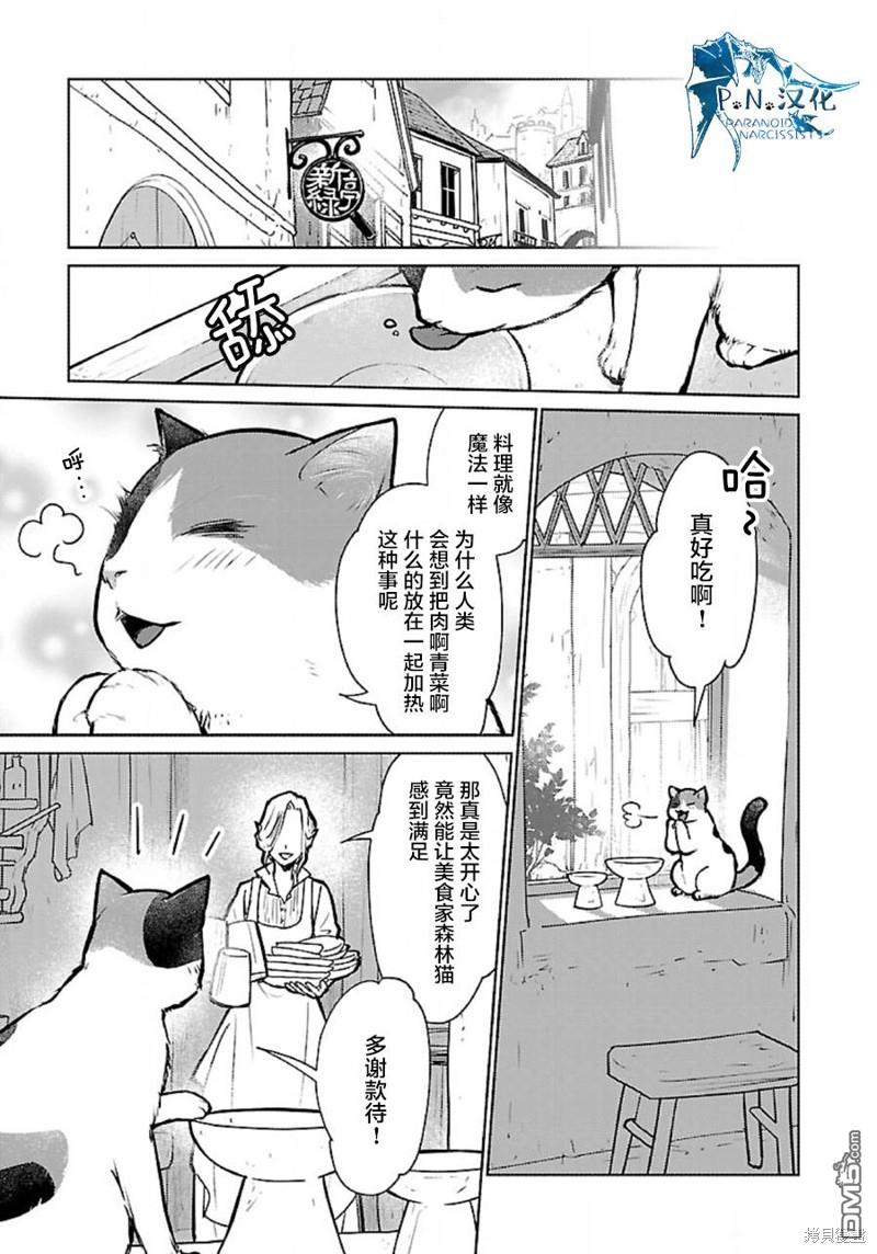 猫与龙 第36话 第7页