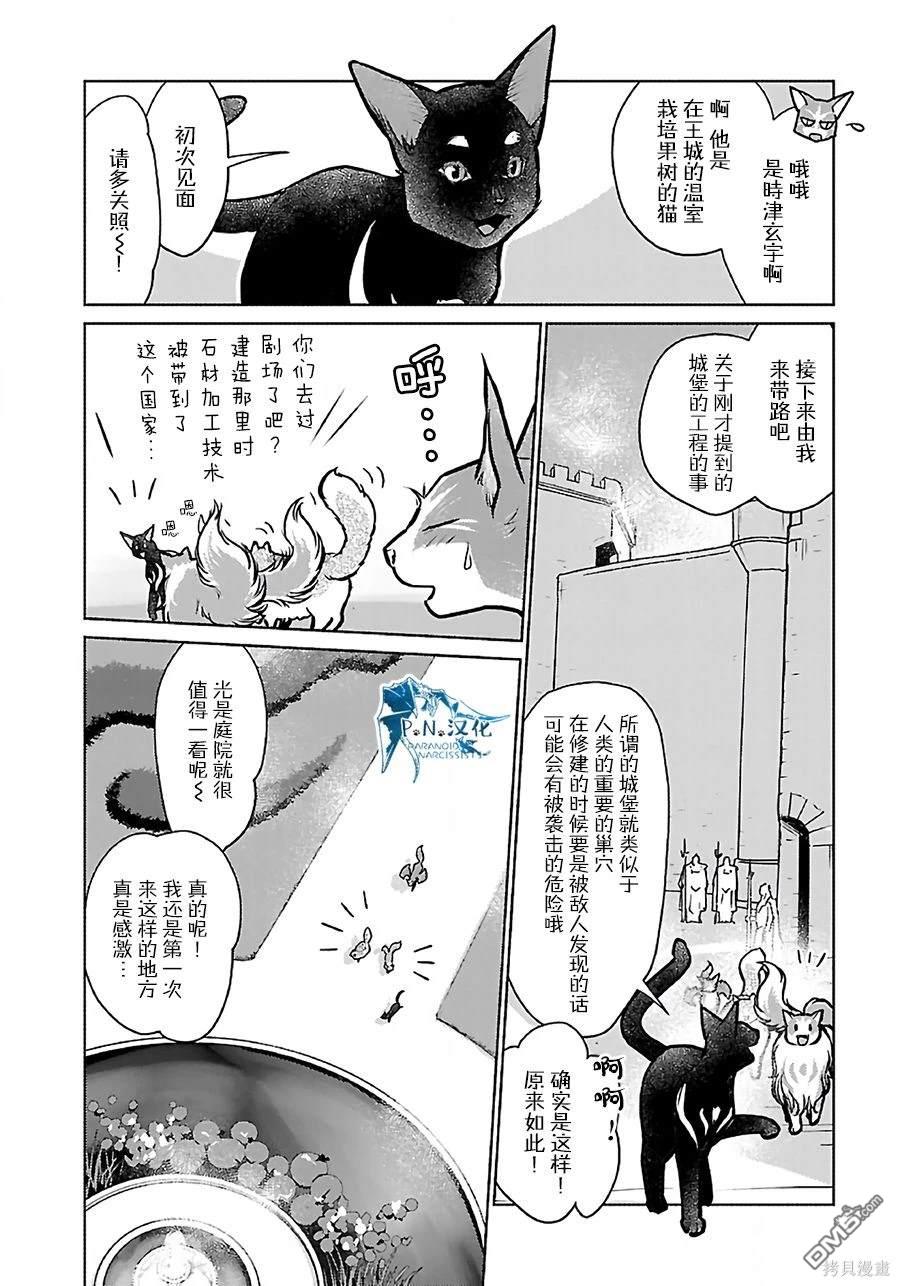 猫与龙 第37话 第16页