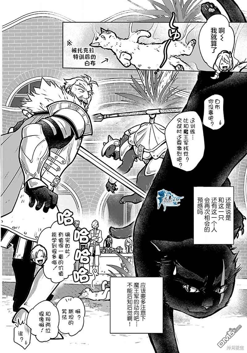 猫与龙 第38话 第38页